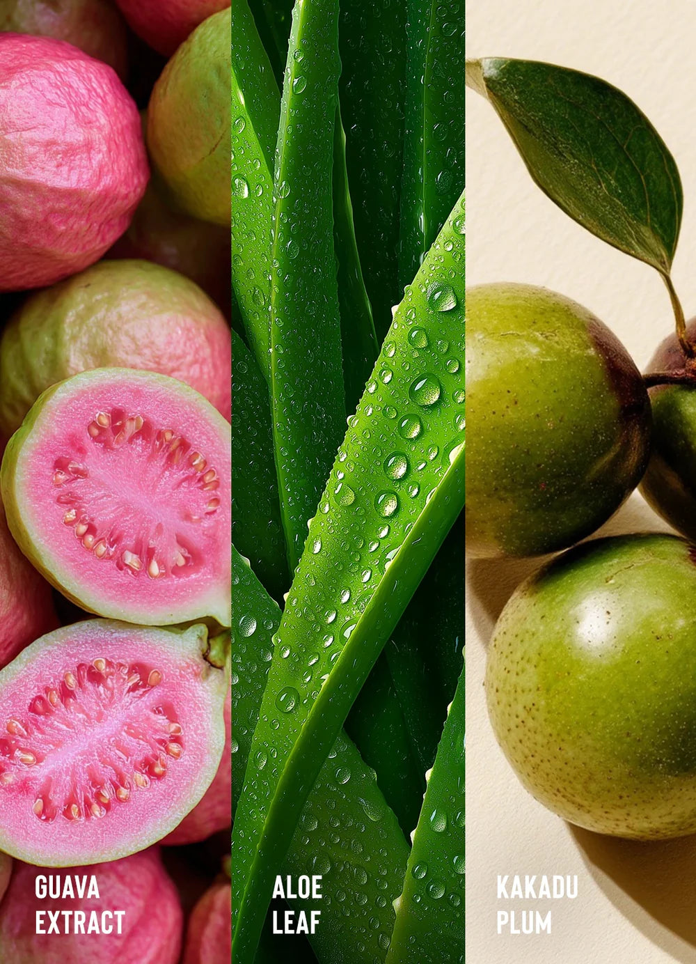 Camille Rose Guava Slip Detangling Leave-In Conditioner