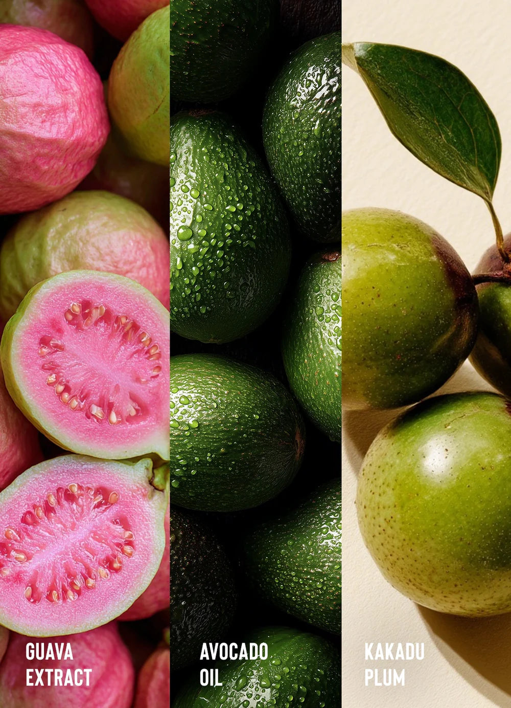 Camille Rose Guava Slip Shampoo