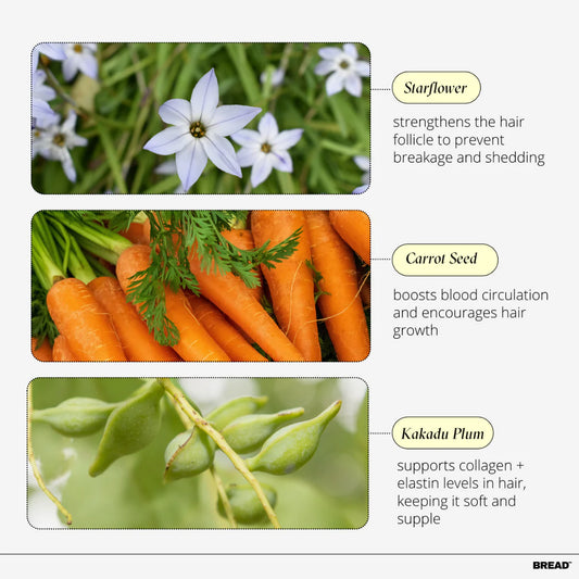 Bread Hair-Mask Creamy Deep Conditioner