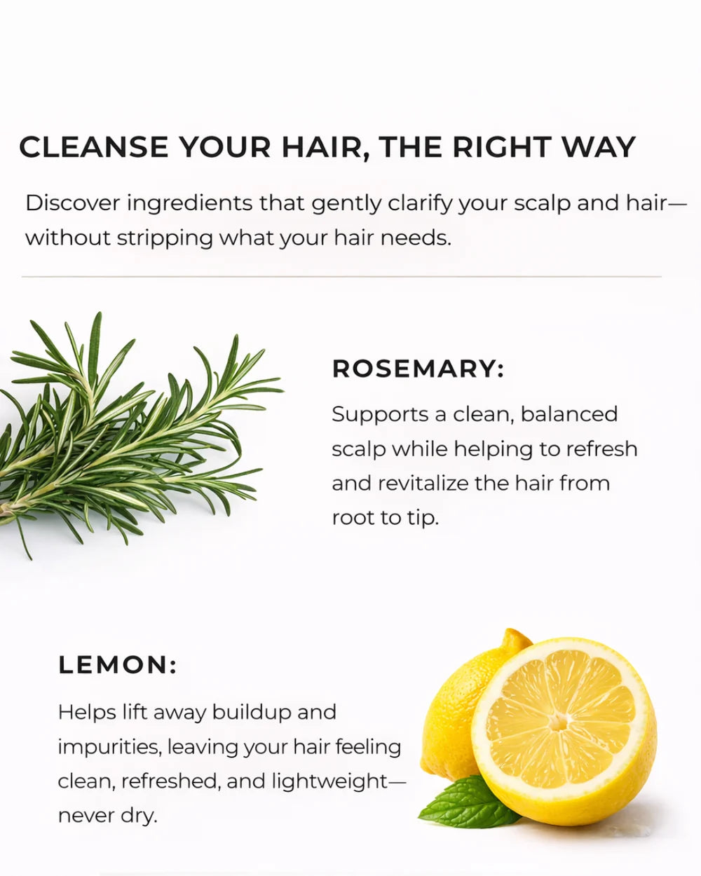 Nature's Little Secret Lemon & Rosemary Clarifying Shampoo 8oz