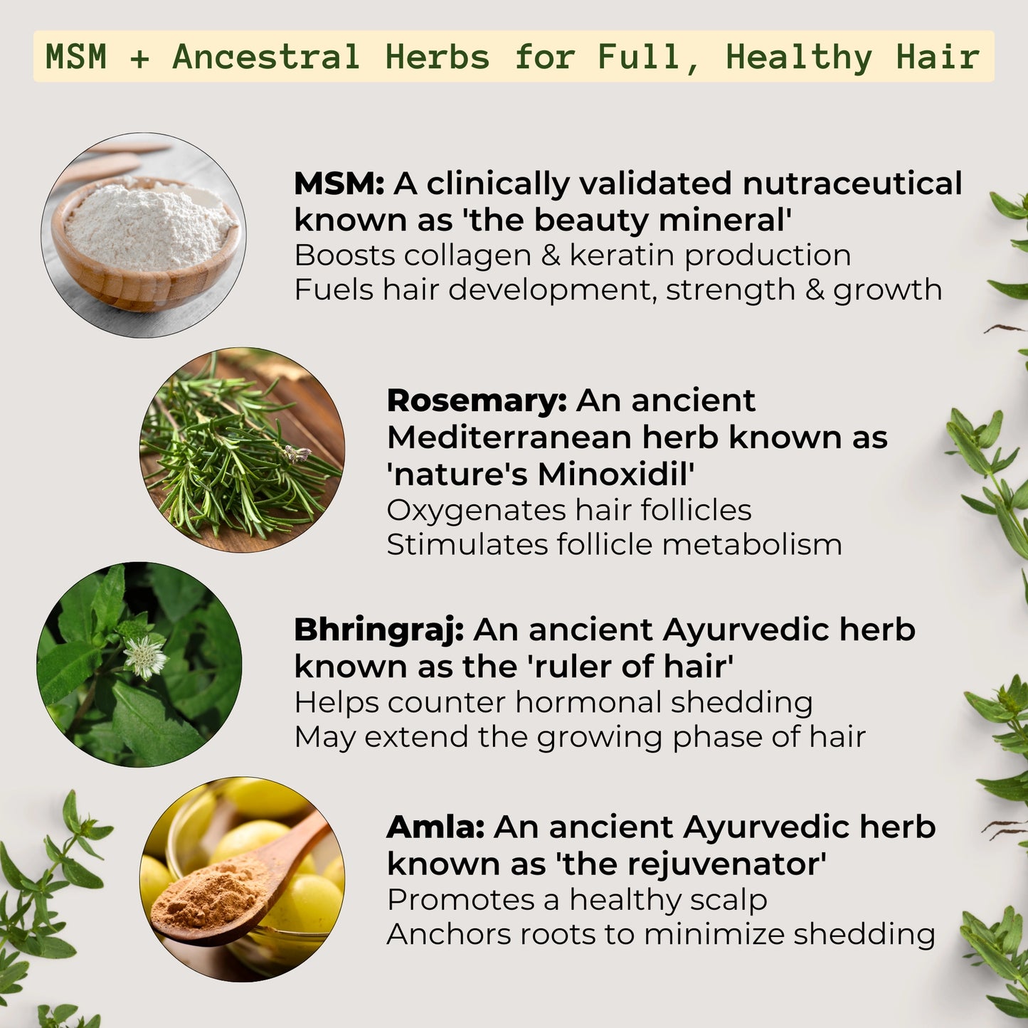 Qhemet Biologics MSM & Rosemary Scalp Nutrients Balm
