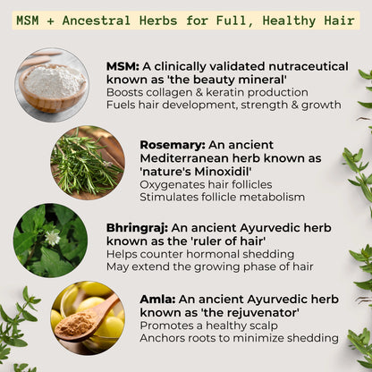 Qhemet Biologics MSM & Rosemary Scalp Nutrients Balm