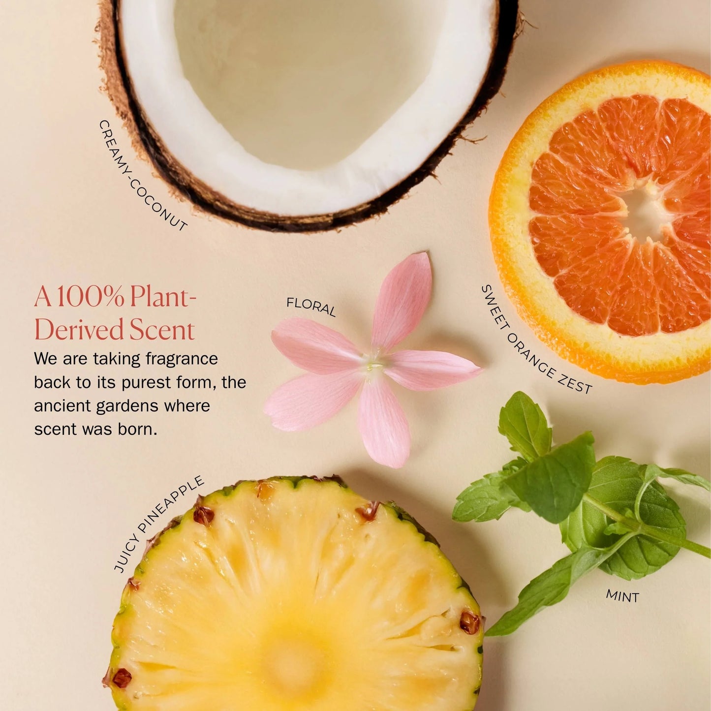 Bounce Curl Ceramide Jelly