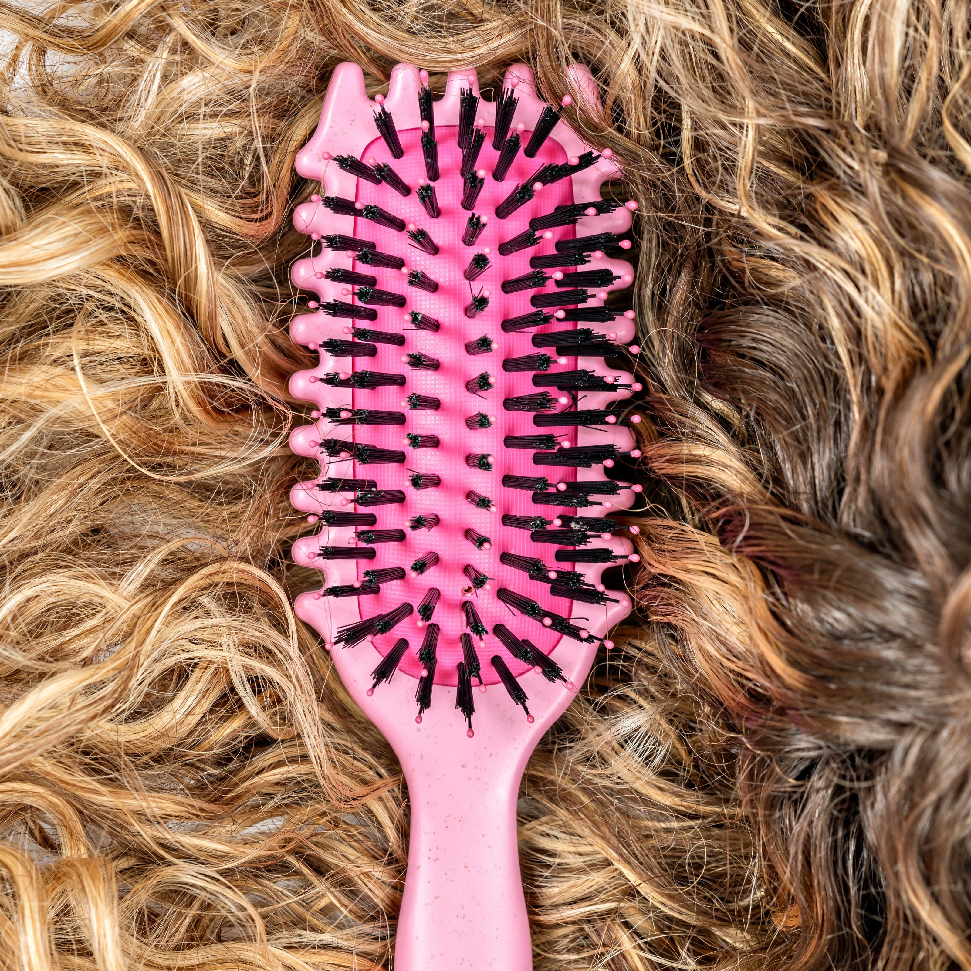 Pink hairbrush with black bristles on curly hair